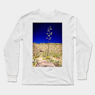 Century Plant in Arizona Long Sleeve T-Shirt